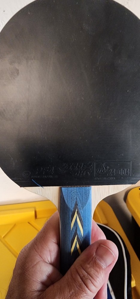 Ping Pong Paddle & Case