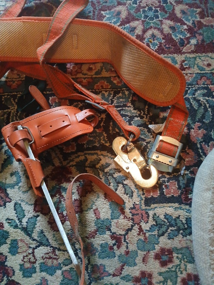 tree climbing gear used