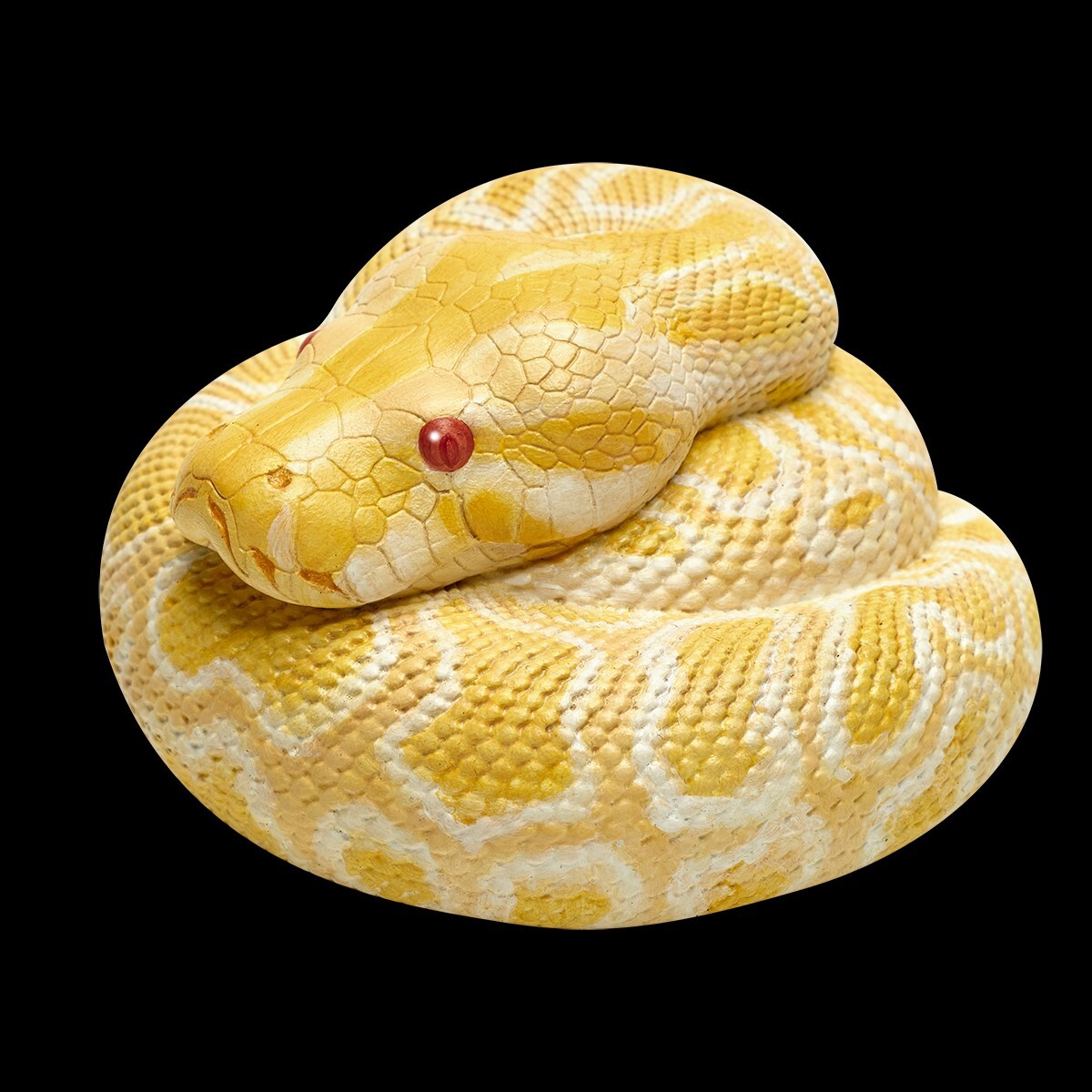 【In-Stock】 Animal Heavenly Body Albino Burmese Python molurus Snake Statue