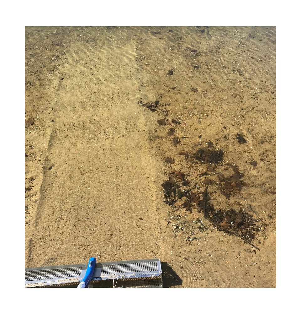 BEACHRAKE PRO Scooper Lake Tool