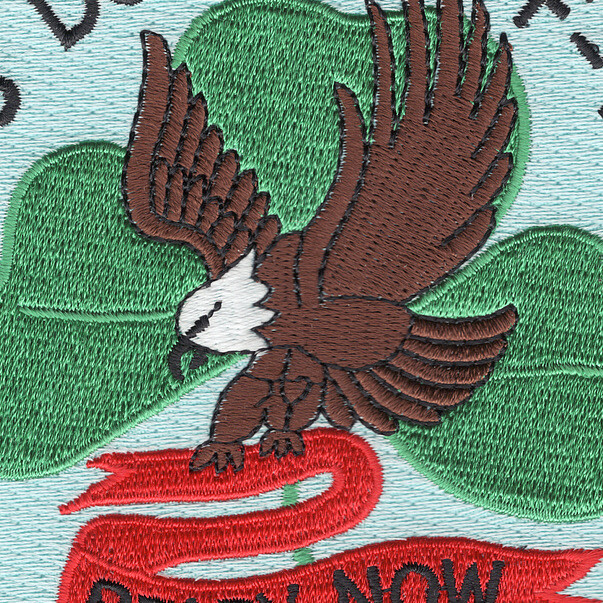 FF-1070 USS Downes Patch