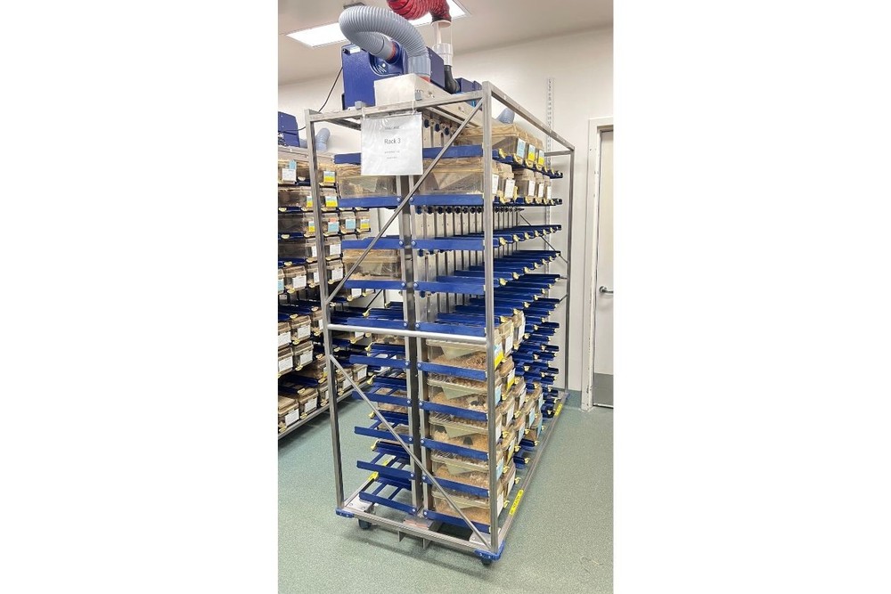 Alternative Design Ventilated Mouse Rack w/Blowers & Cages