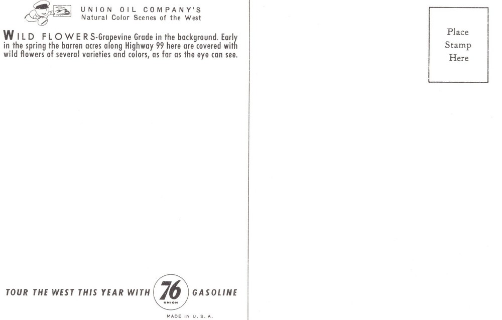 WILD FLOWERS ALONG HIGHWAY 99 - PC6351