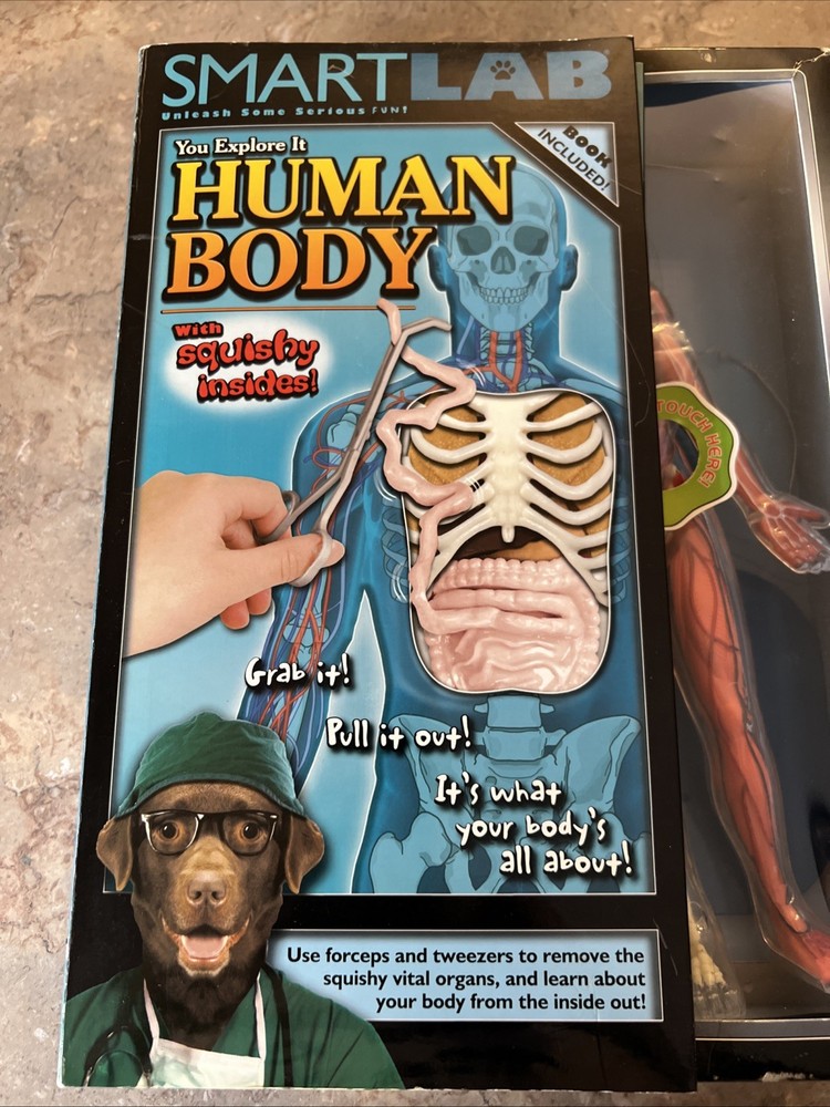 SmartLab You Explore It HUMAN BODY MODEL, Removable SQUISHY ORGANS, Tools & Book
