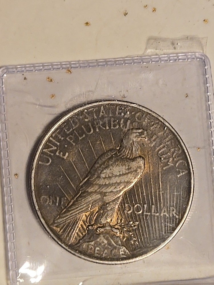 1924 $1 Peace Dollar Toned