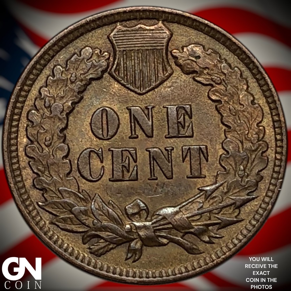 1899 Indian Head Cent Penny Z6821