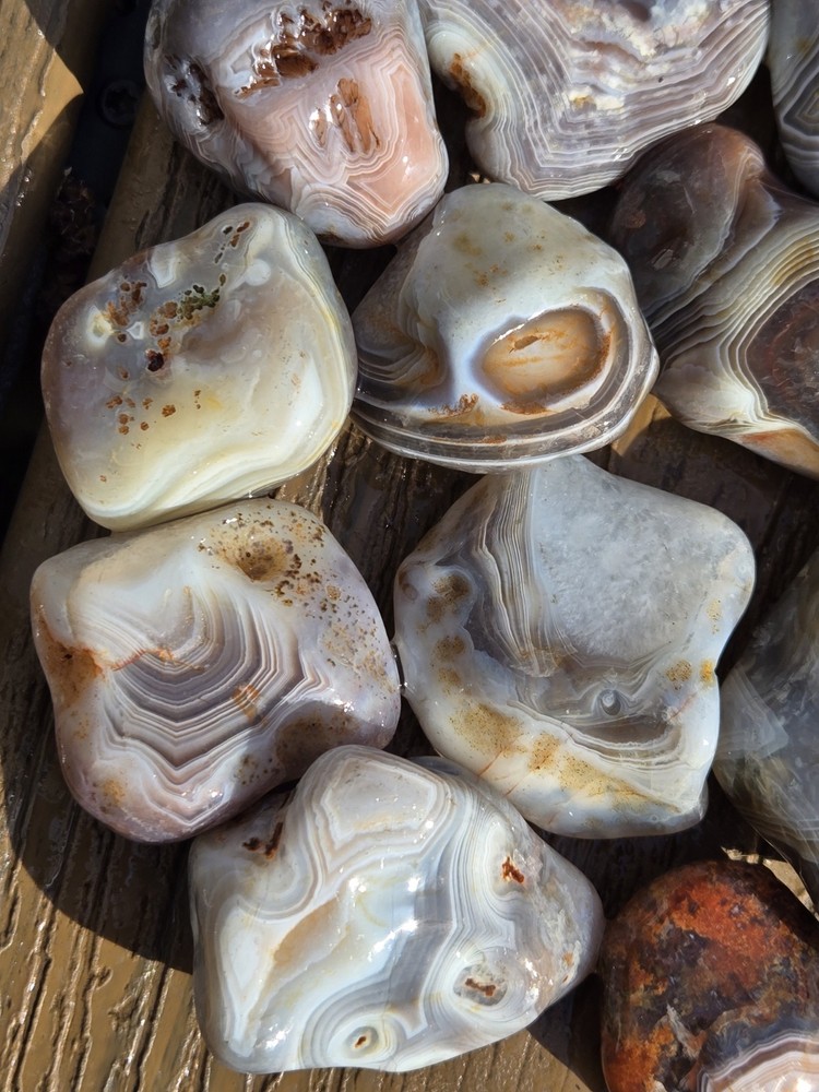 Botswana Agate Selects - WILD ONES - Rough, Natural, Not Polished A+ Grade