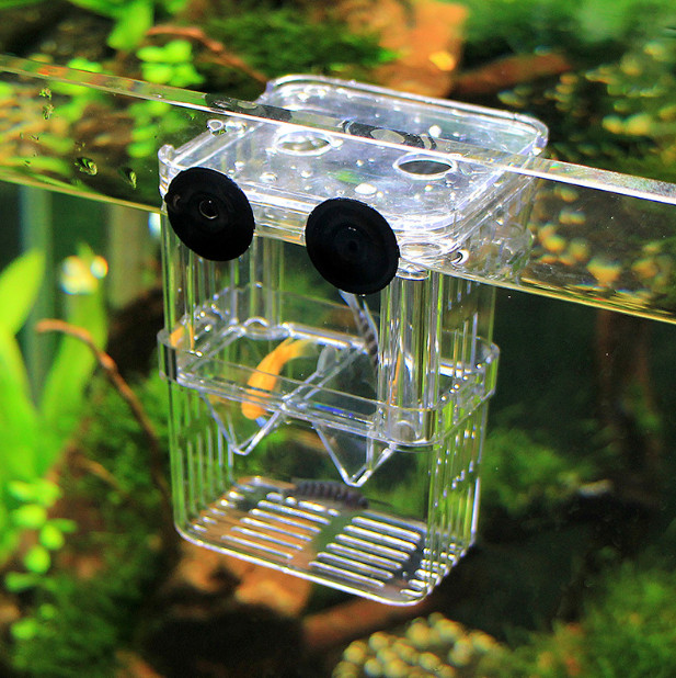 2pcs Double layer self floating incubator juvenile fish breeding isolation box
