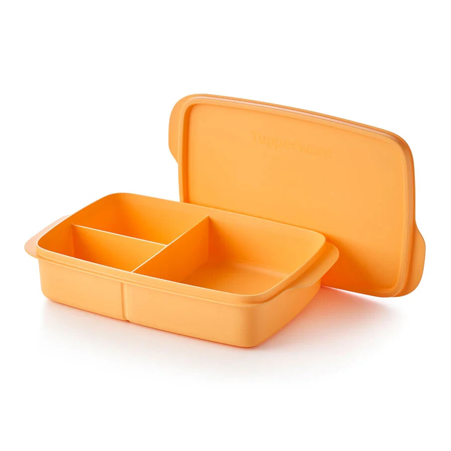 Eco+ Lunch-it Large Container