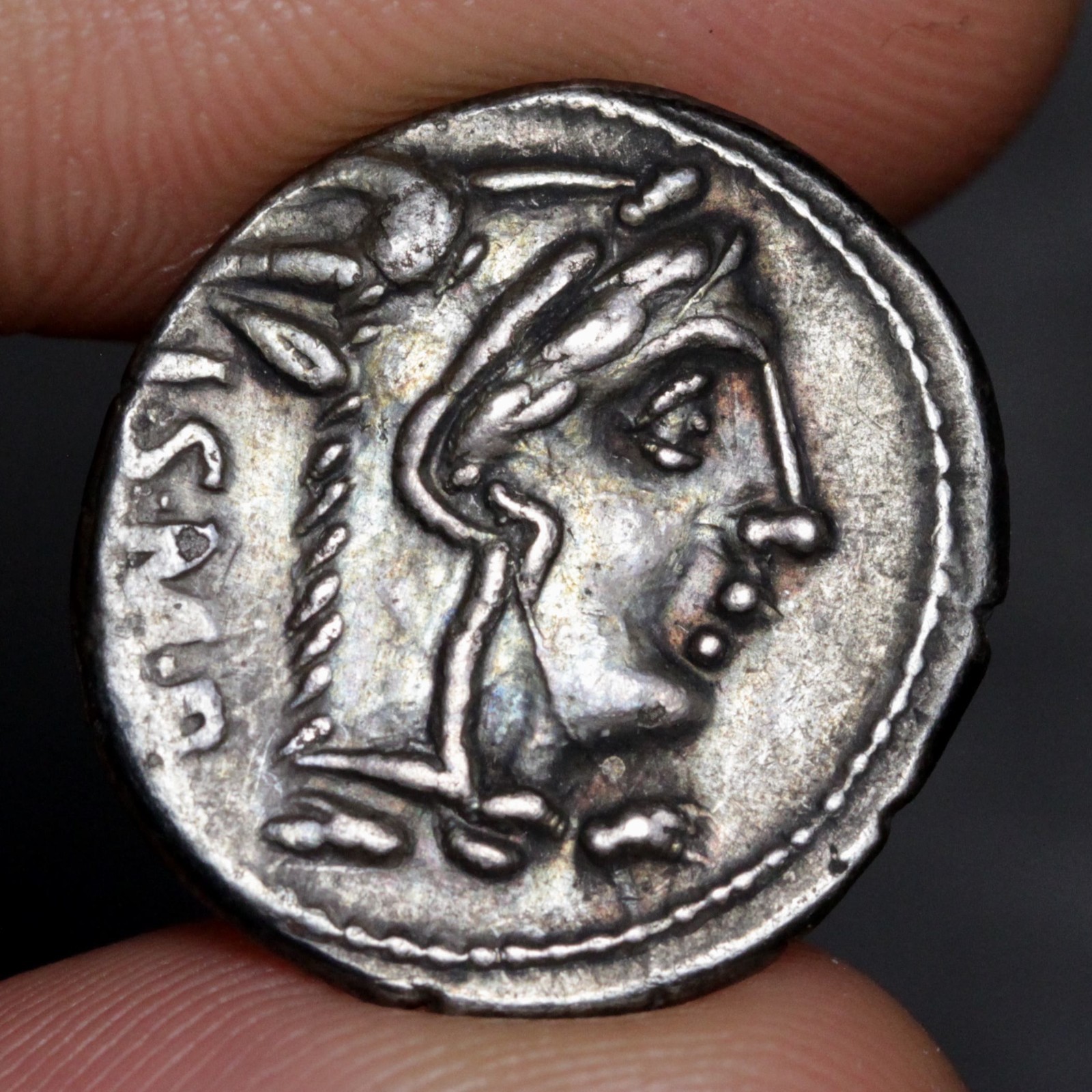 Charging Bull Denarius 105BC Ancient Roman Republic Silver Coin Thorius Balbus