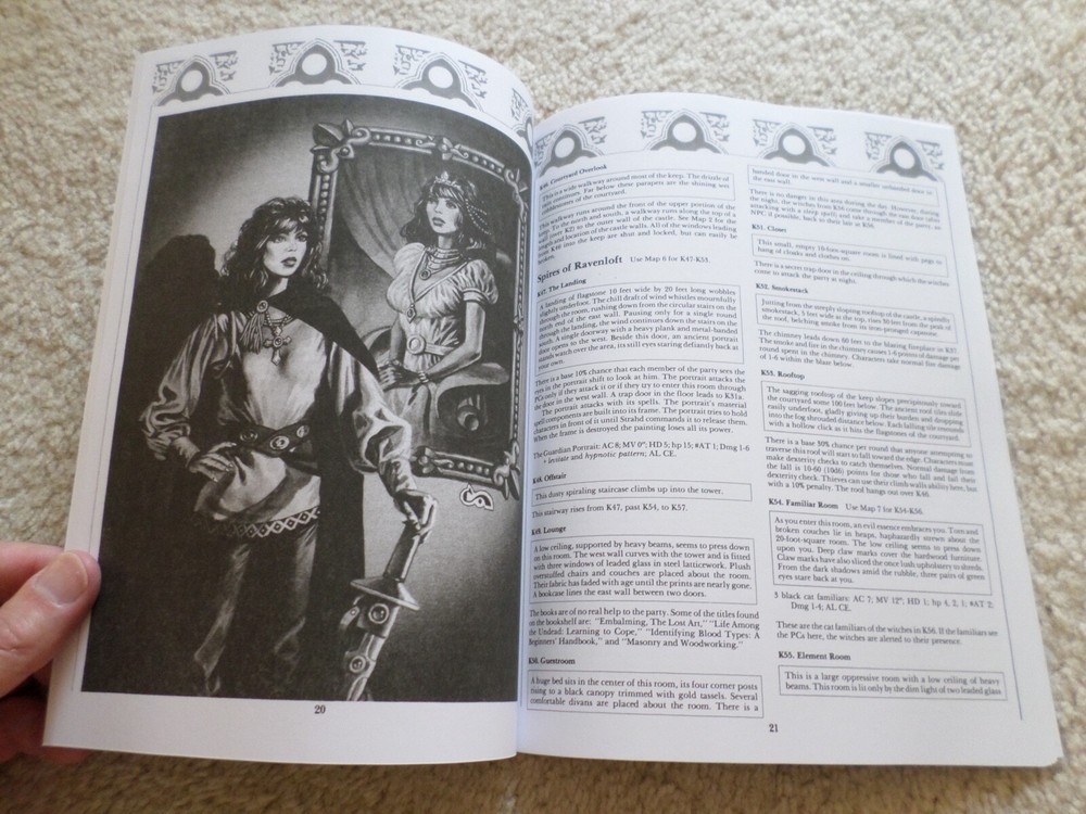 Ravenloft adventure module I6 Dungeons & Dragons