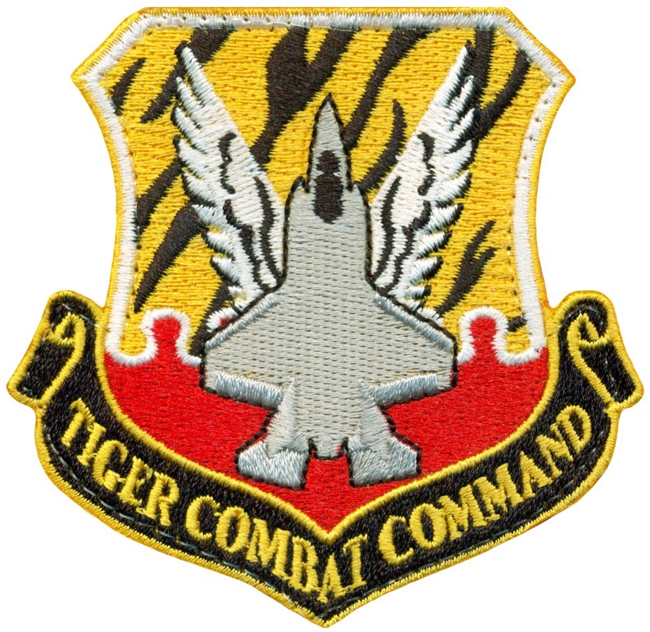 USAF 24th FIGHTER SQUADRON F-35 TIGER COMBAT COMMAND PATCH