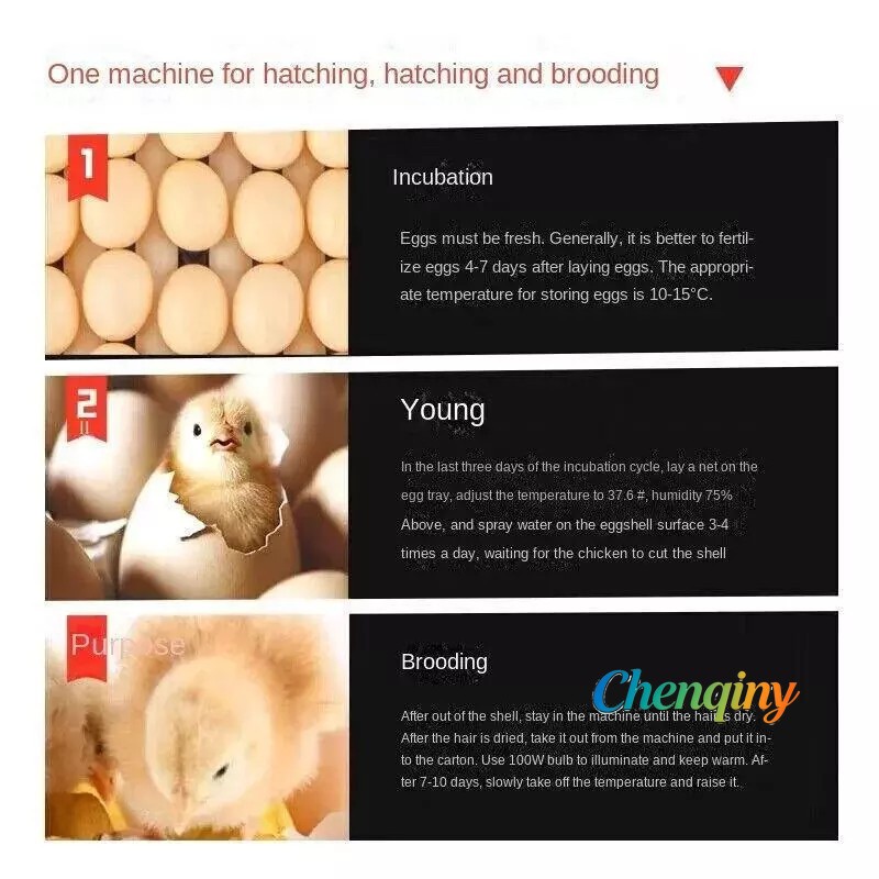 204 Egg Incubator Fully Automatic Turning Digital Brooder WiFi for Farm Home Use