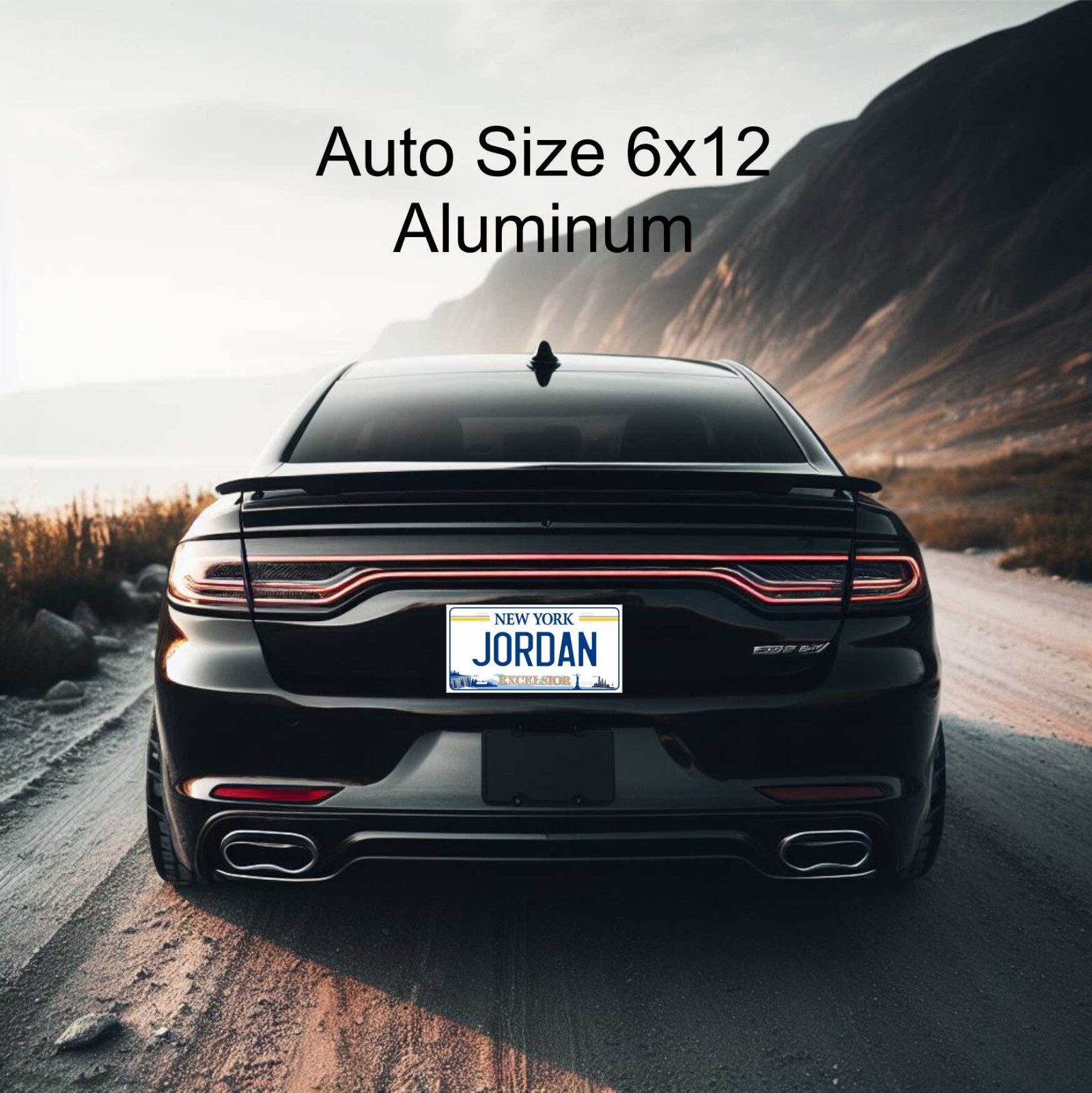 Any State Any Text License Plate Personalized Custom Auto Car Motorcycle Tag