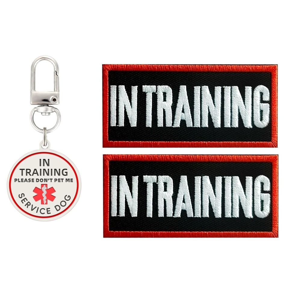 in Training Patch 2 Pcs, in Training Tag Removable to Collar, Harness Medium-...