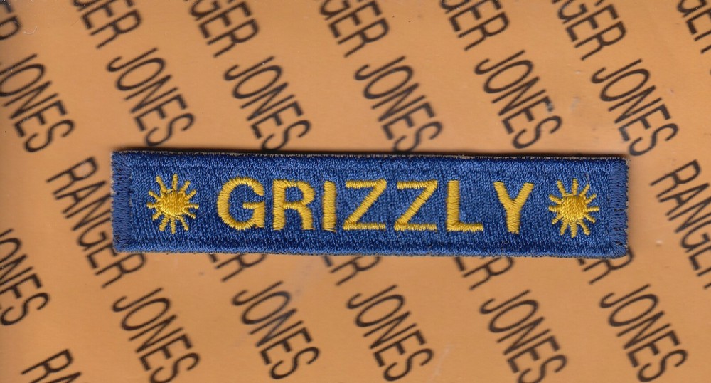 40th Armored Division CA ARNG GRIZZLY Armor Tank 4" tab patch c/e