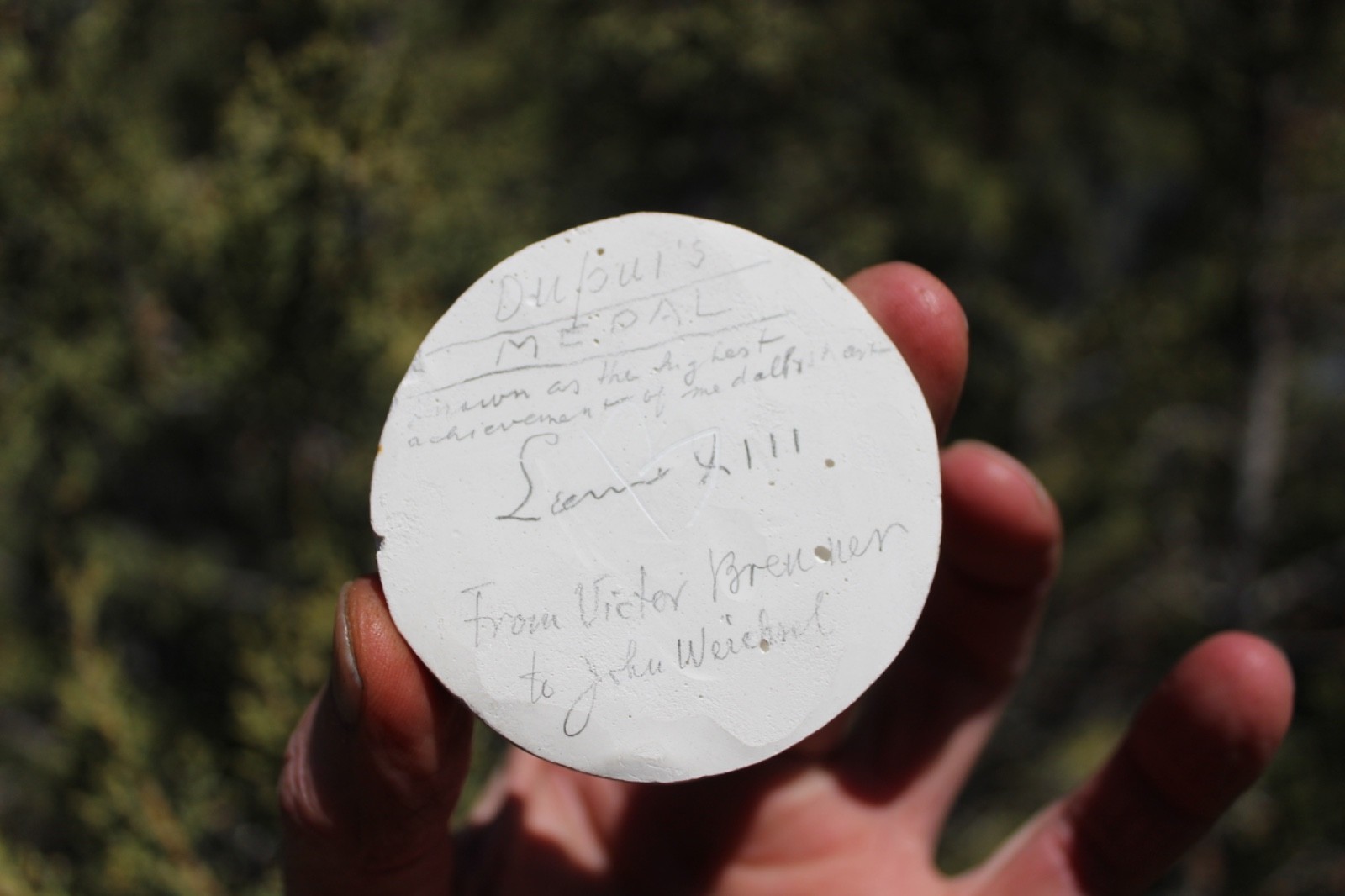 Art Medals Bronze Plaster CAST - SIGNED By Victor Brenner RARE - One Of A Kind!