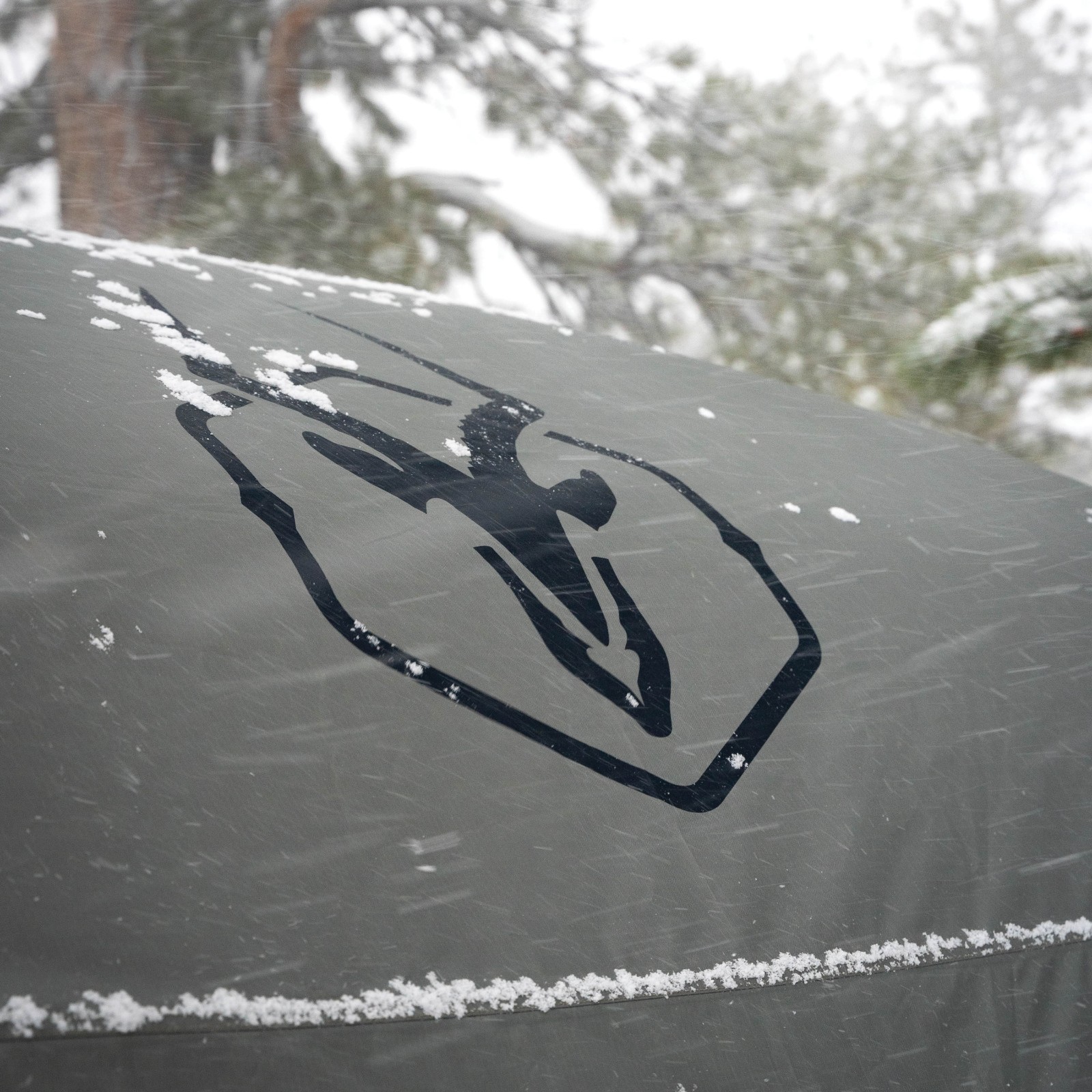 Gazelle Tents™ T4 Overland EXP Hub Tent, 4-Person, Agave Green