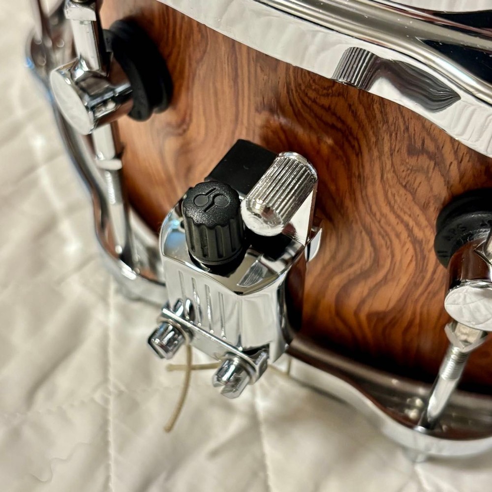 SONOR Designer Maple Light Bubinga 14*6.5inch