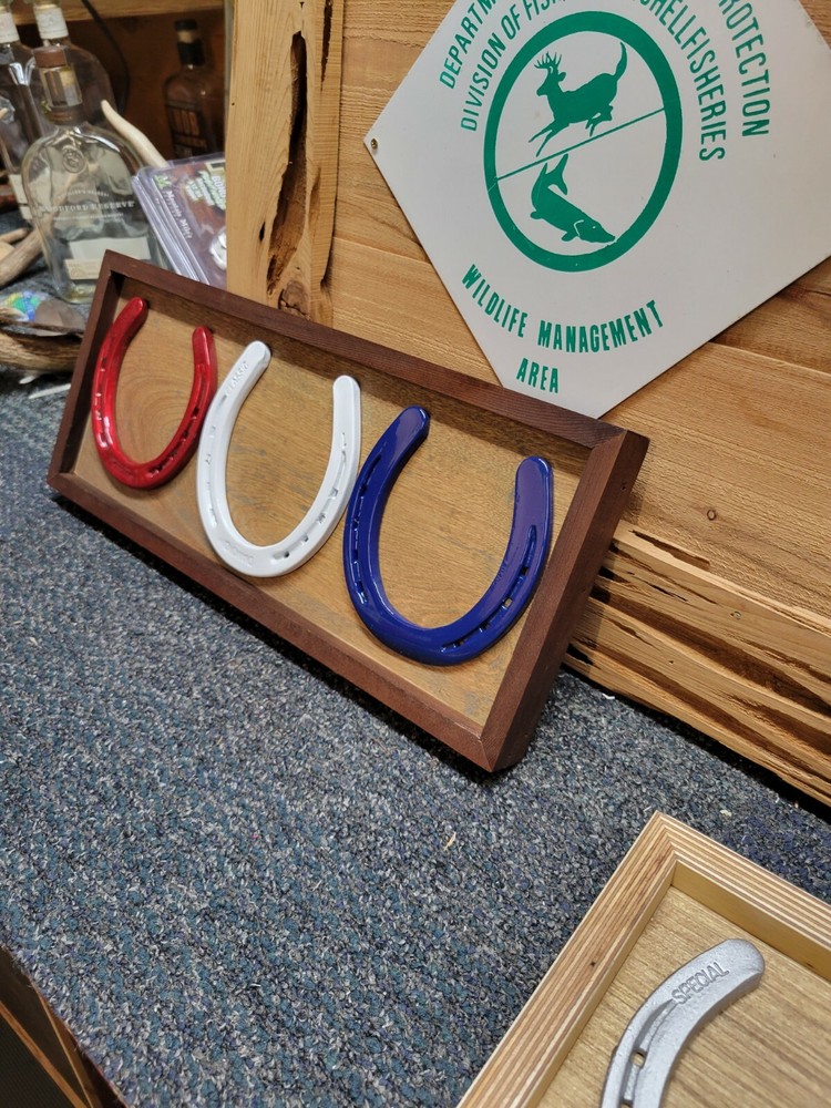 horse shoe art