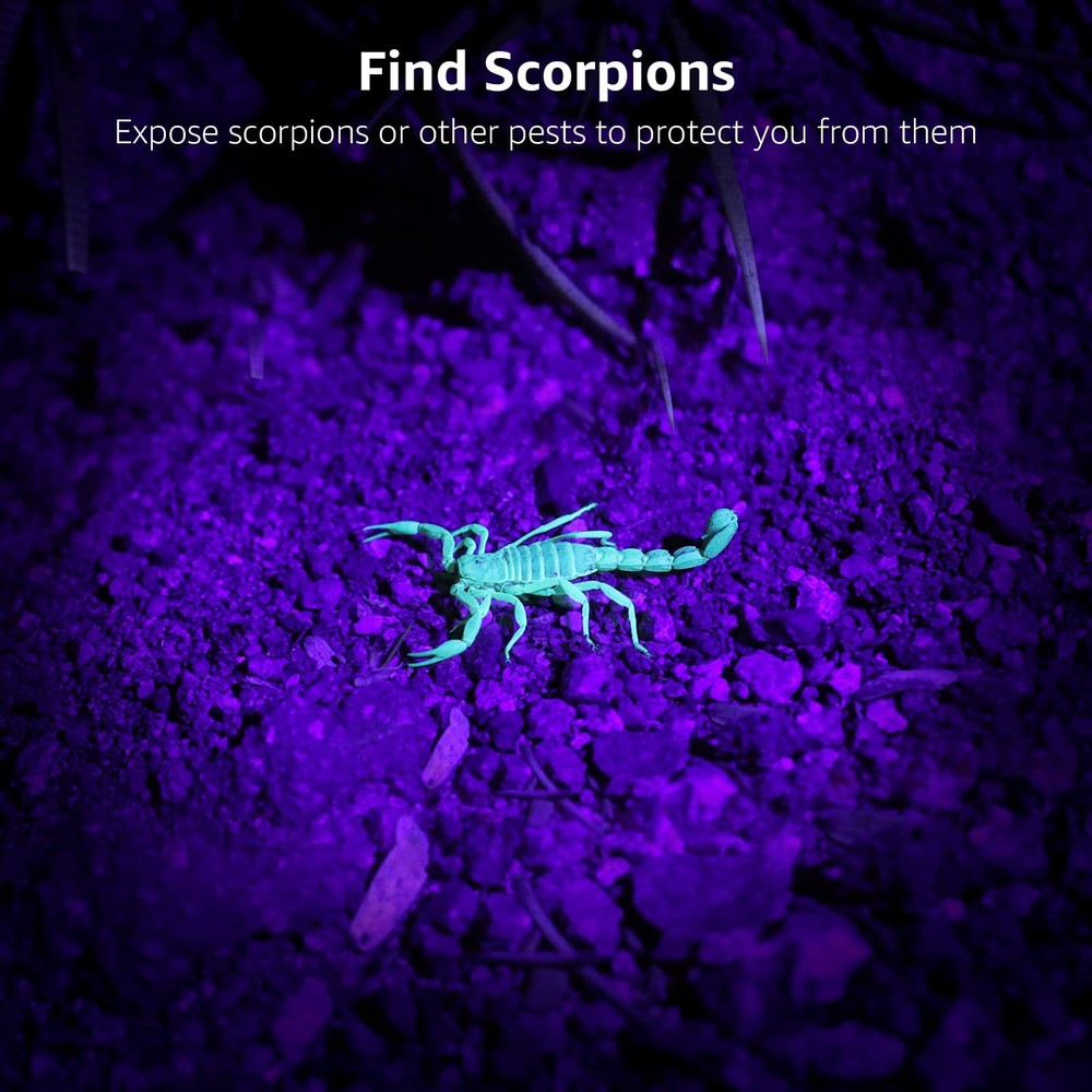 Lepro 51 LEDs UV Light Handheld Blacklight, Flashlight Black zzzz-s,