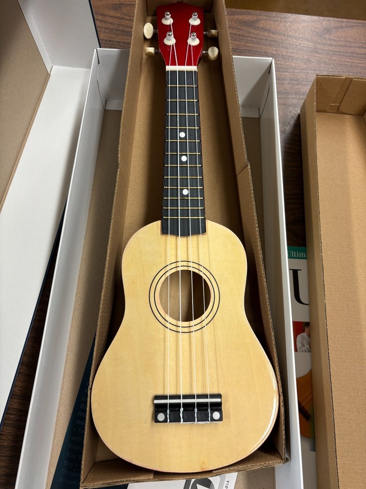 HAL LEONARD Learn To Play Ukulele Complete Kit