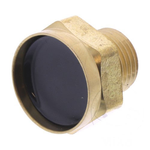 Temperature Sensor Fits Benelli Leoncino 125 2022