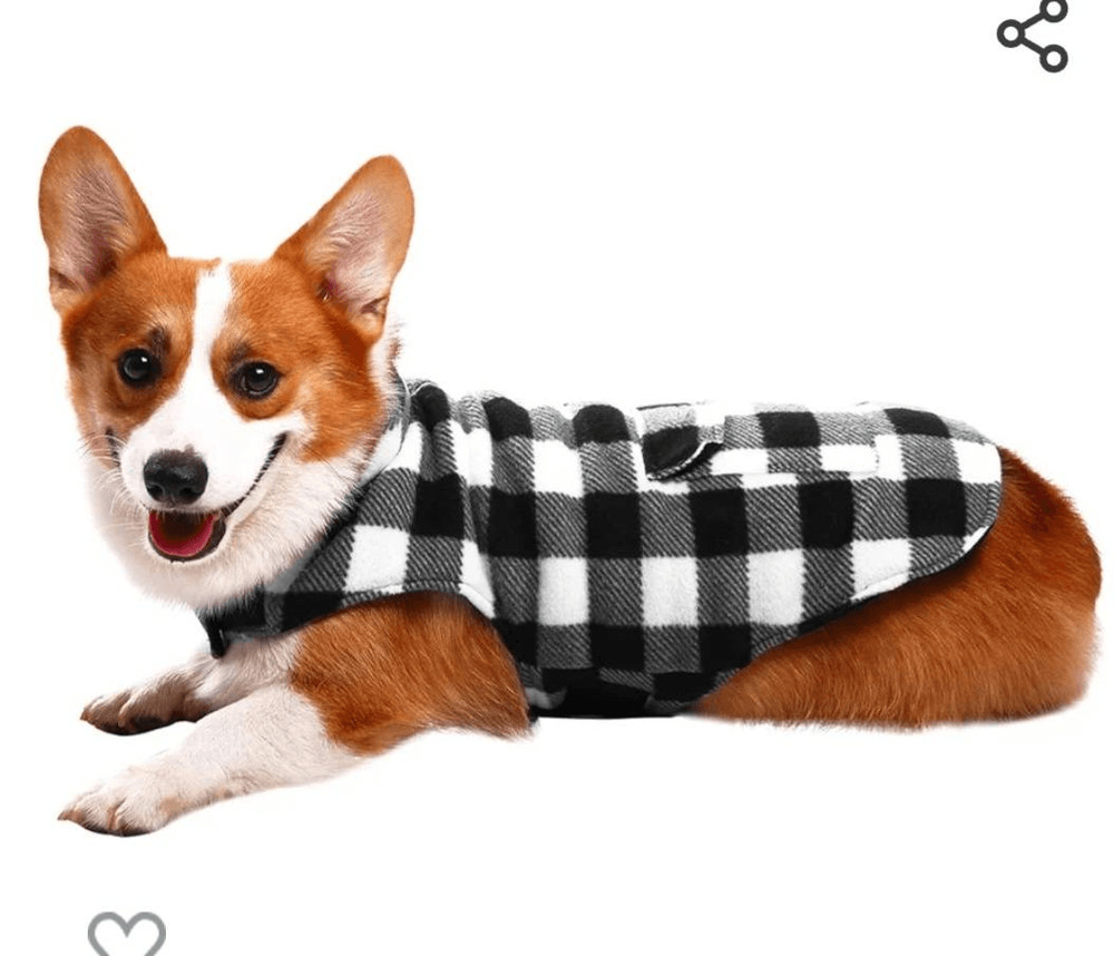NWT GRAYSON PUP FLEECE OUTFIT