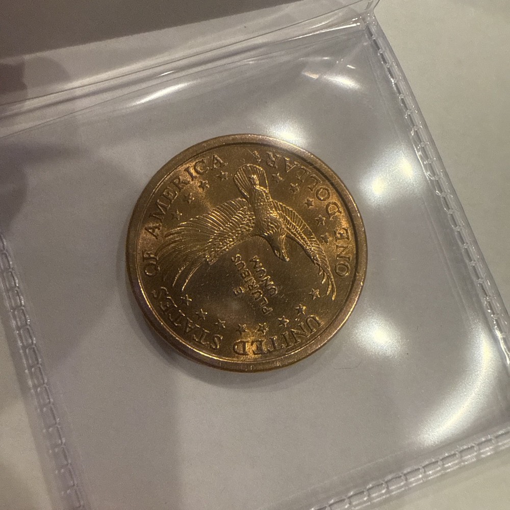 2000-P Sacagawea $1 Dollar Coin