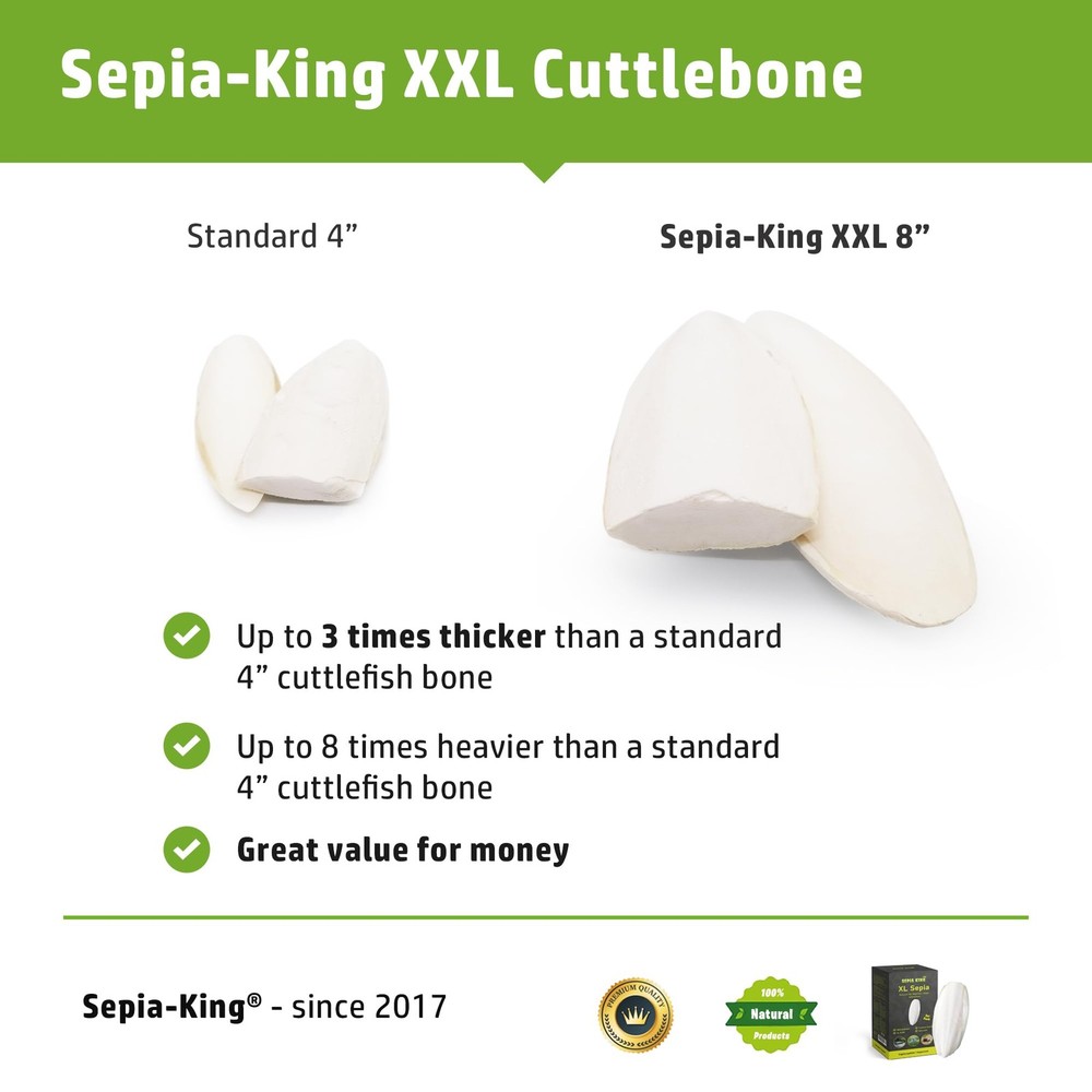 - Extra Large - 100% Natural Calcium Supplement - Premium Cuttlebone Perfect