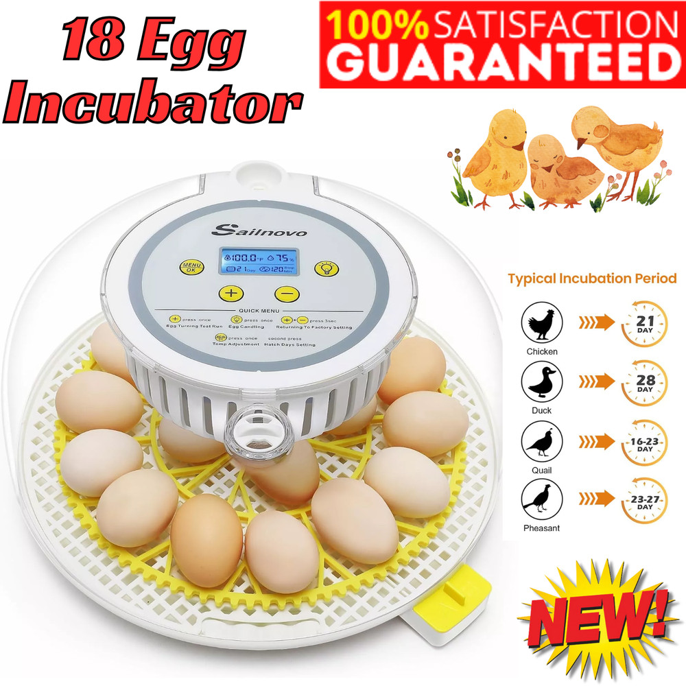 18 Egg Poultry Incubator for Hatching Egg Chick Automatic Turning Eggs Incubator