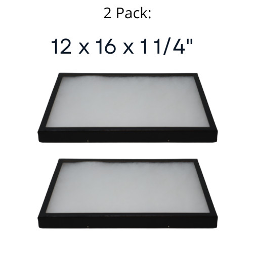 2 Pack of 12 x 16 x 1 1/4 Riker Display Cases Boxes for Collectibles Arrowheads