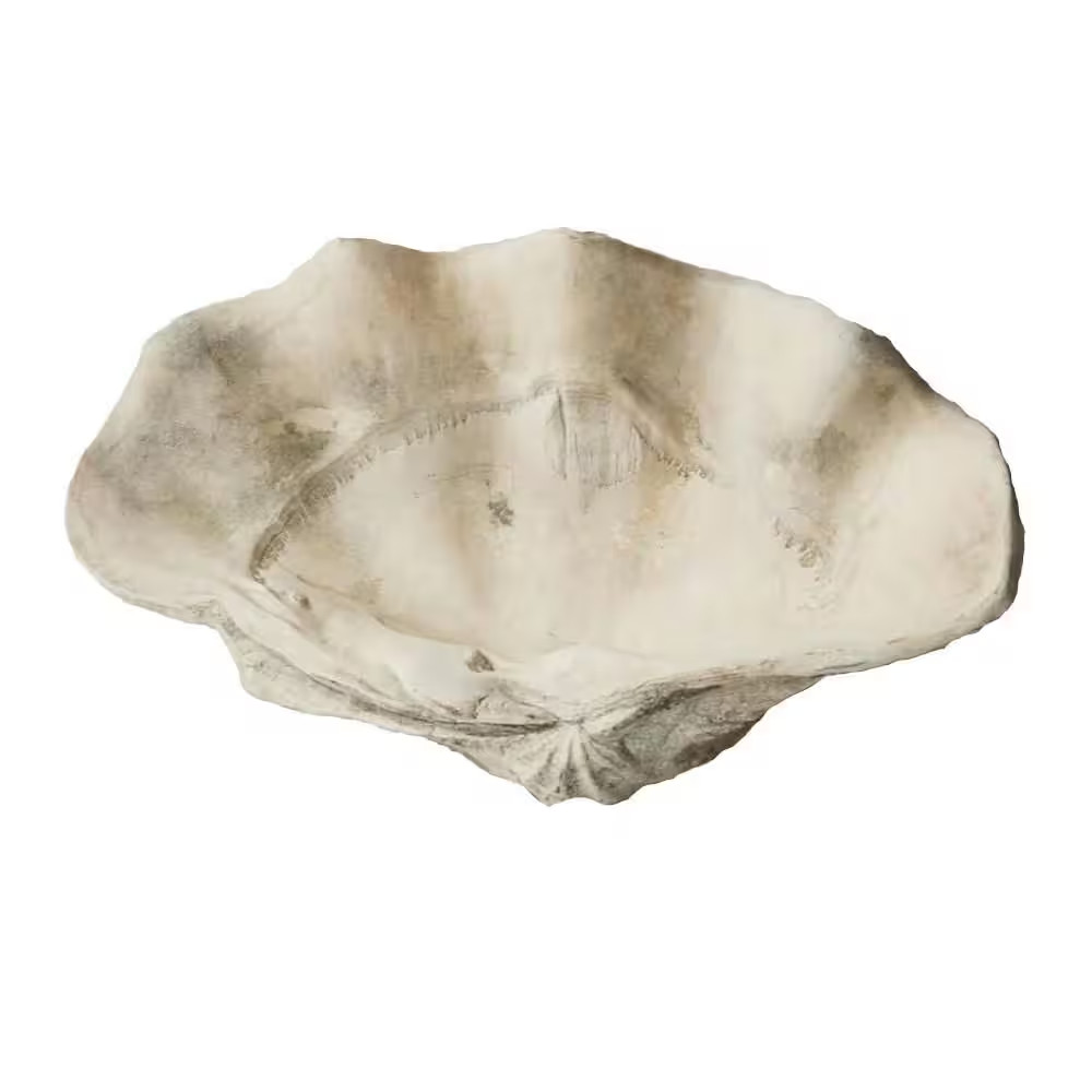 Large Clam Shell