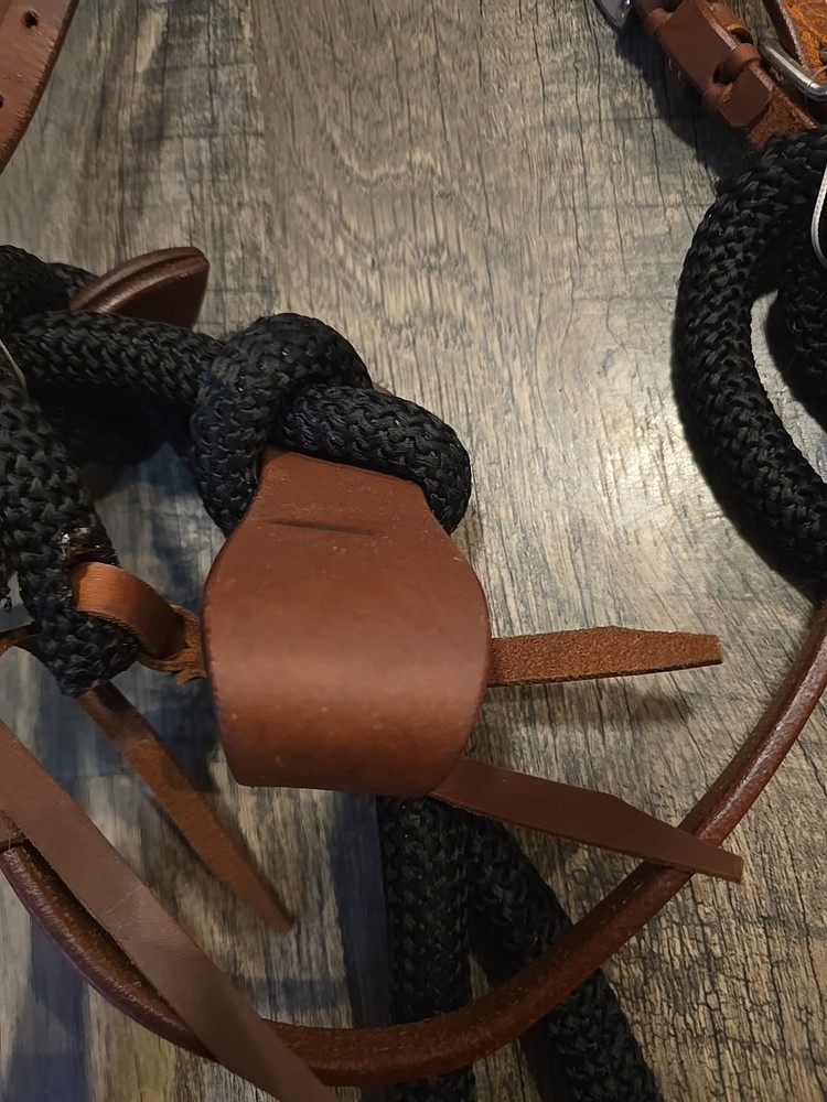 western headstall and reins