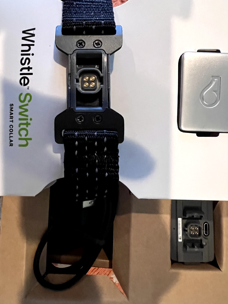 electronic pet collar