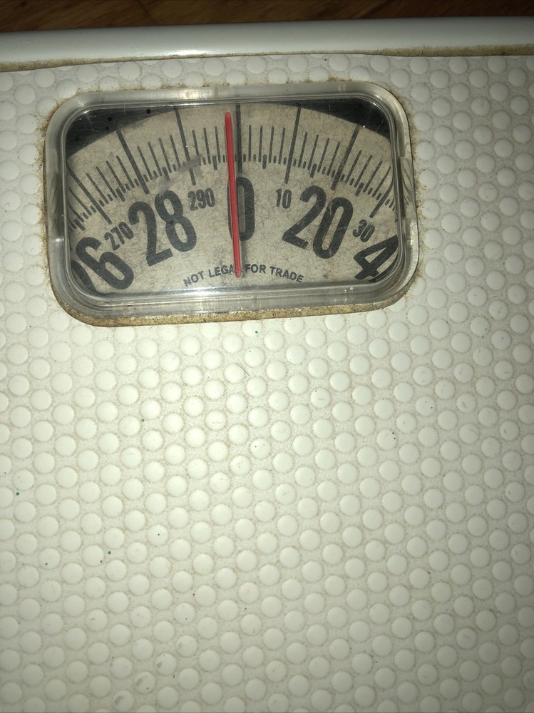 White Taylor Metro Scale-Model 2004D 5104 V2525