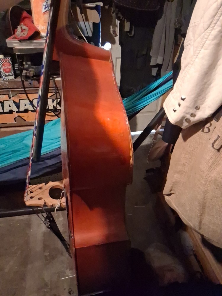 Bass Cello
