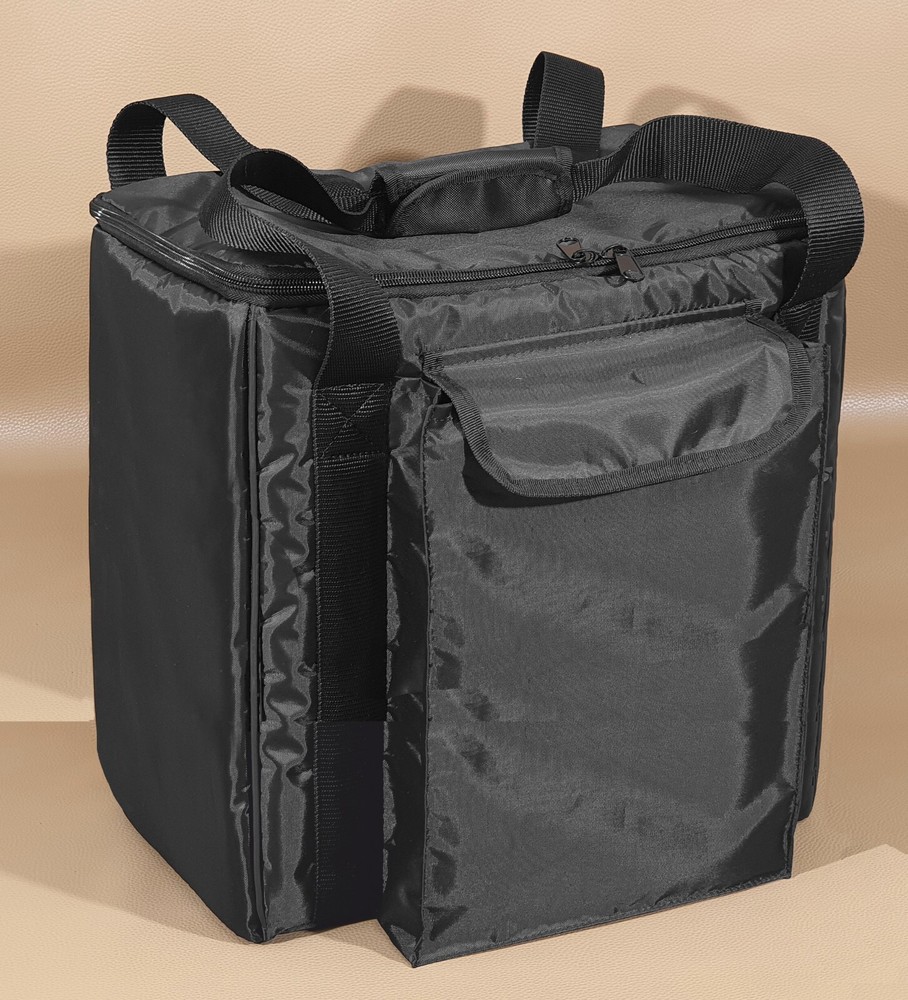 Custom padded BAG for Positive Grid Spark cabinet