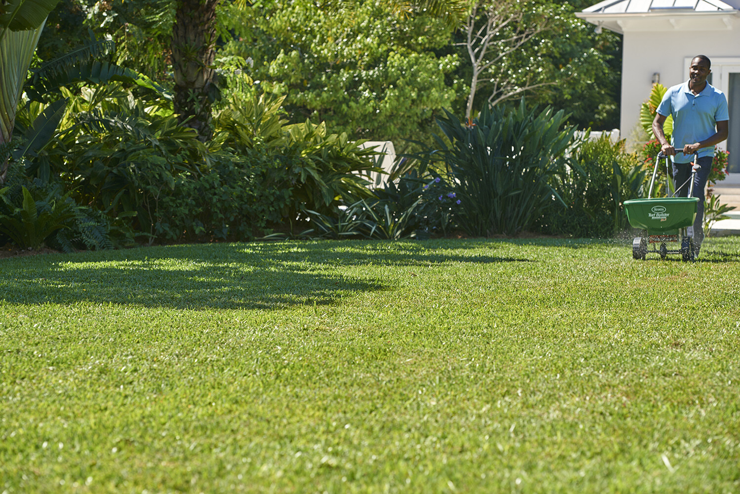 Scotts Southern Turf Builder Lawn Food 42.18 lbs. Covers 15,000 sq. ft.