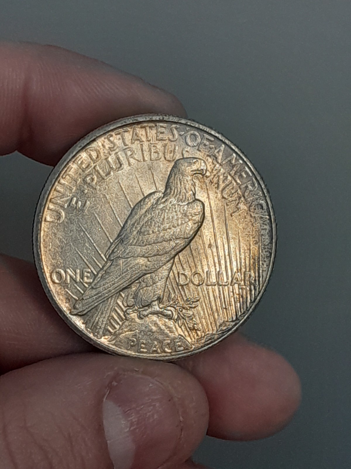1922- S Peace Dollar Toned #5