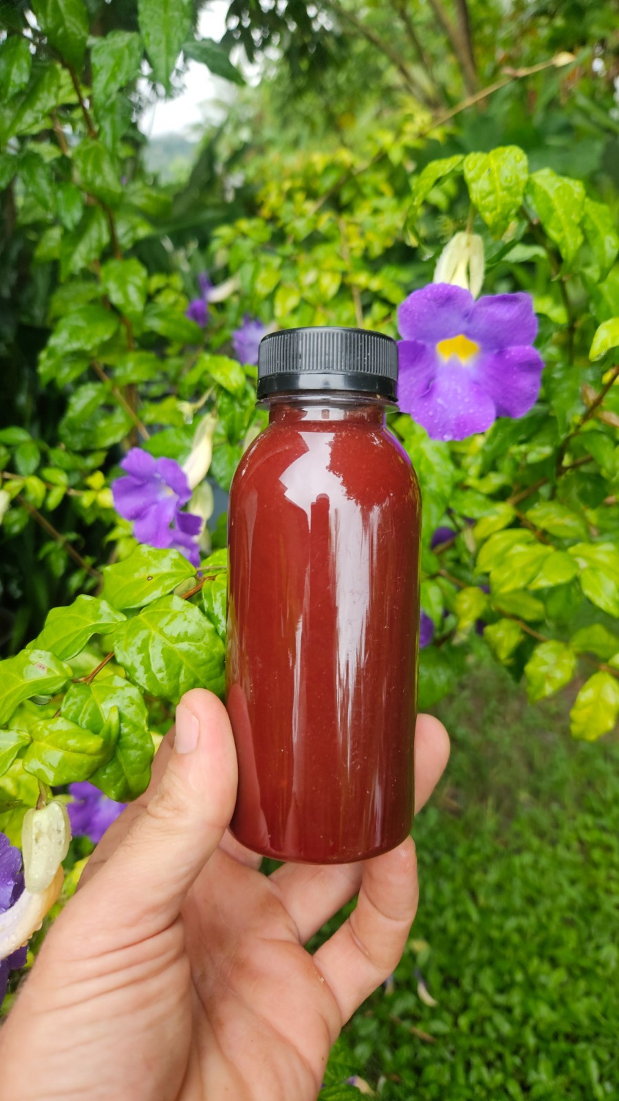 8 ounce photosynthetic bacteria, Helps plants uptake nutrients. Use as a starter