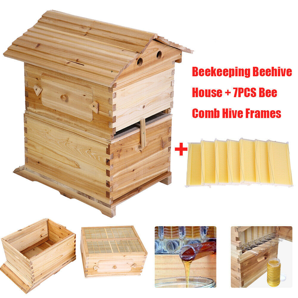 Wooden Beekeeping Beehive House Box + 7PCS Automatic Honey Bee Comb Hive Frame