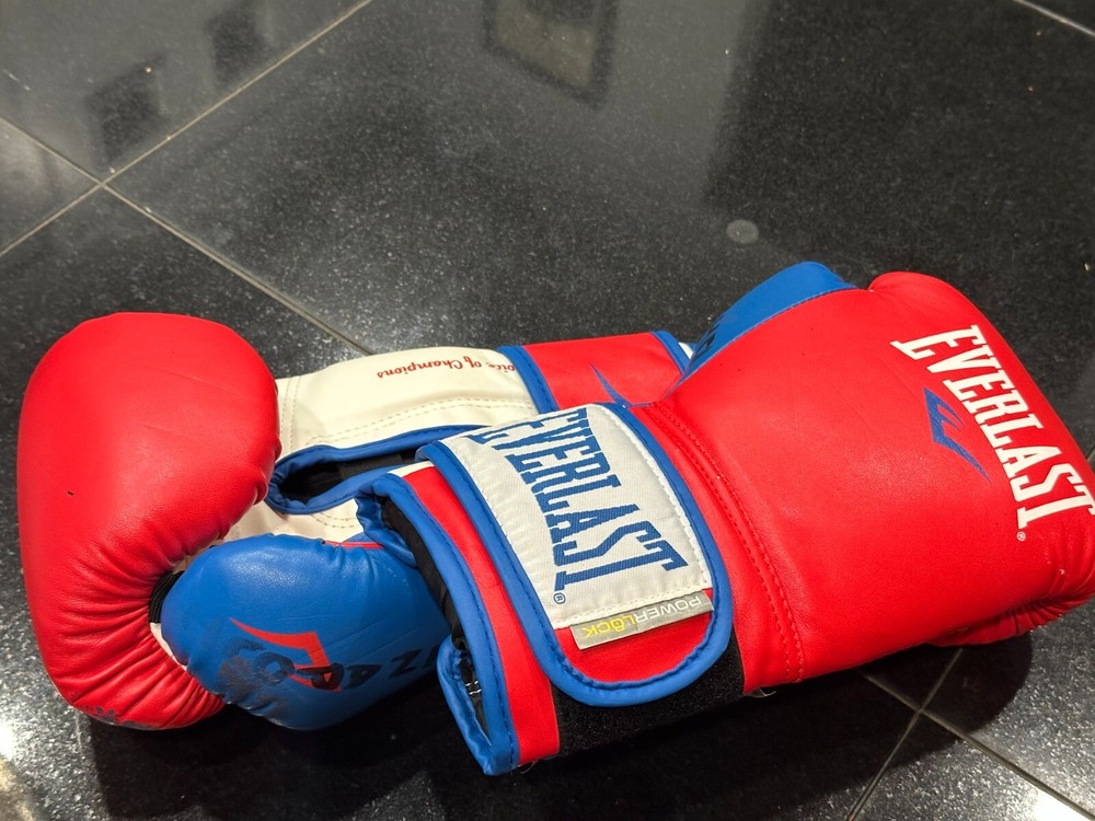 Everlast 14oz Power Lock Boxing Training Gloves