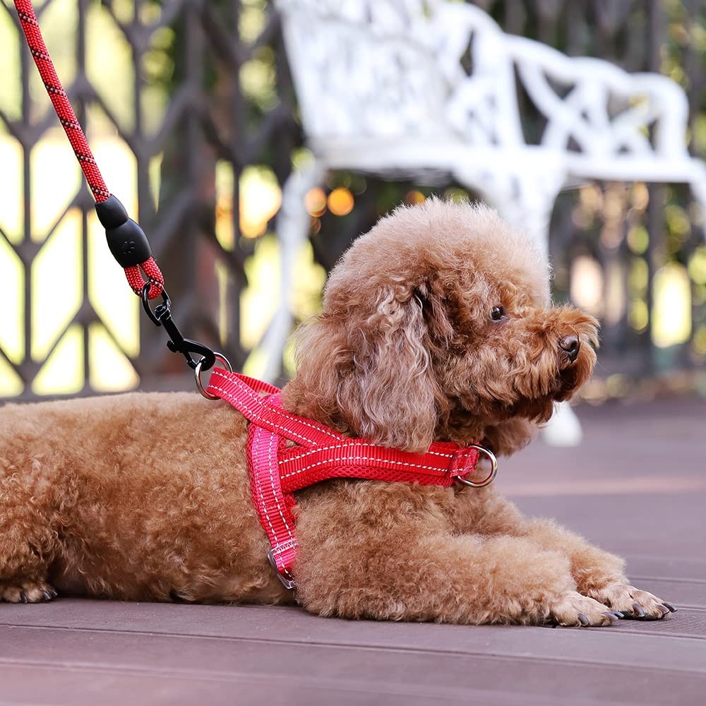 No Pull Dog Harness with Breathable Mesh Padded, Adjustable Reflective Escape...