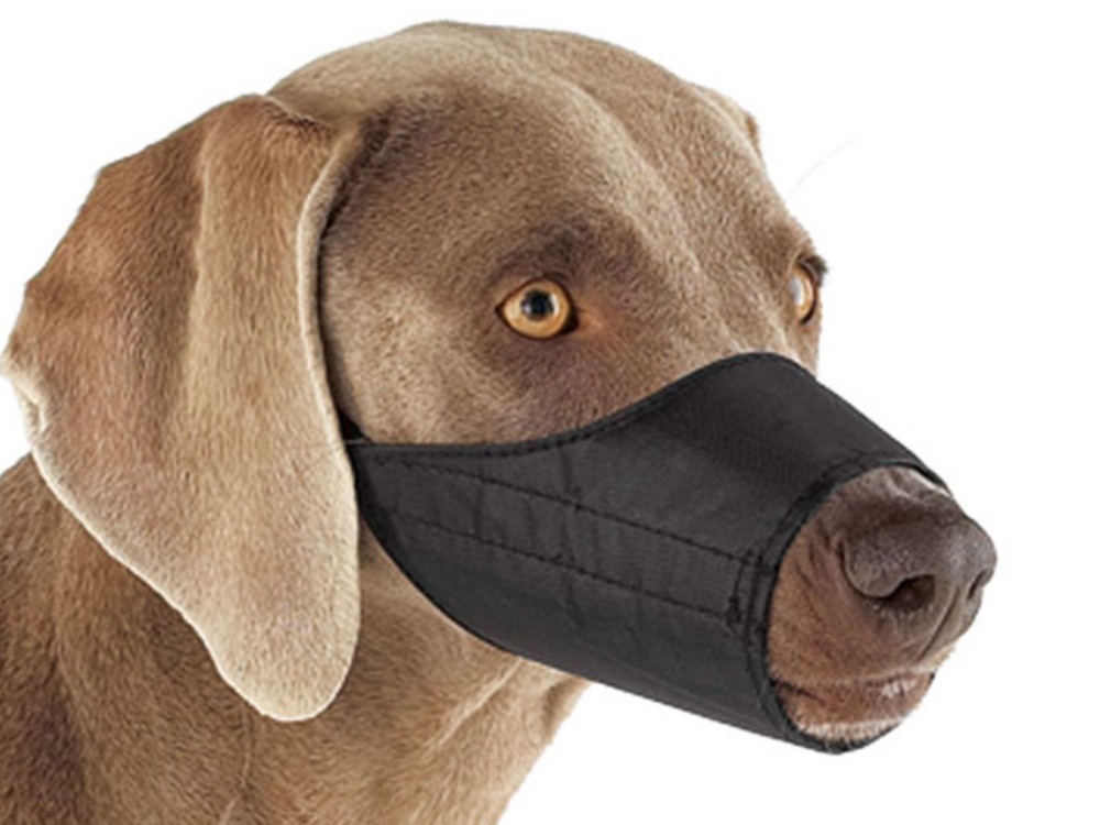 Quick-Release Nylon Dog Muzzle,  X-Small J-169A