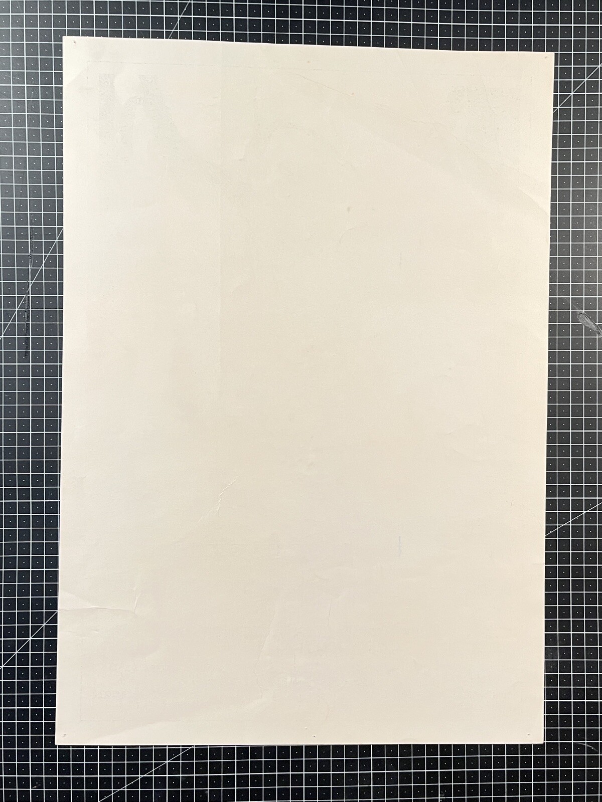 NR 7 OP1 Neon Rose Poster RARE FIRST PRINT