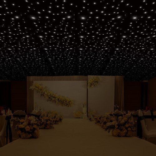 LED Background Wall Mounted Stage Star Sky Backdrop Stage Curtain w/ Controller