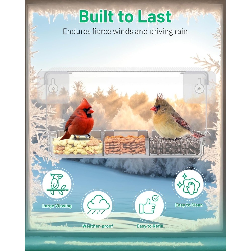 Clear Window Bird Feeder Outdoors