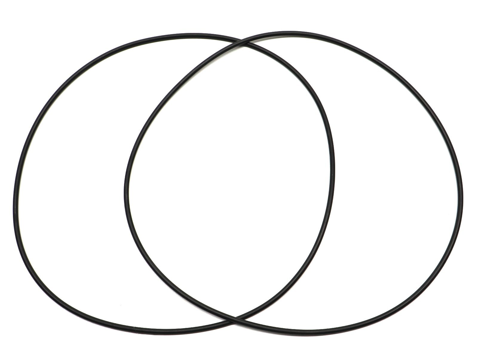 Replacement O-Ring for Gamma2 Vittles Vault Pet Food Container Lid (2 Pack)