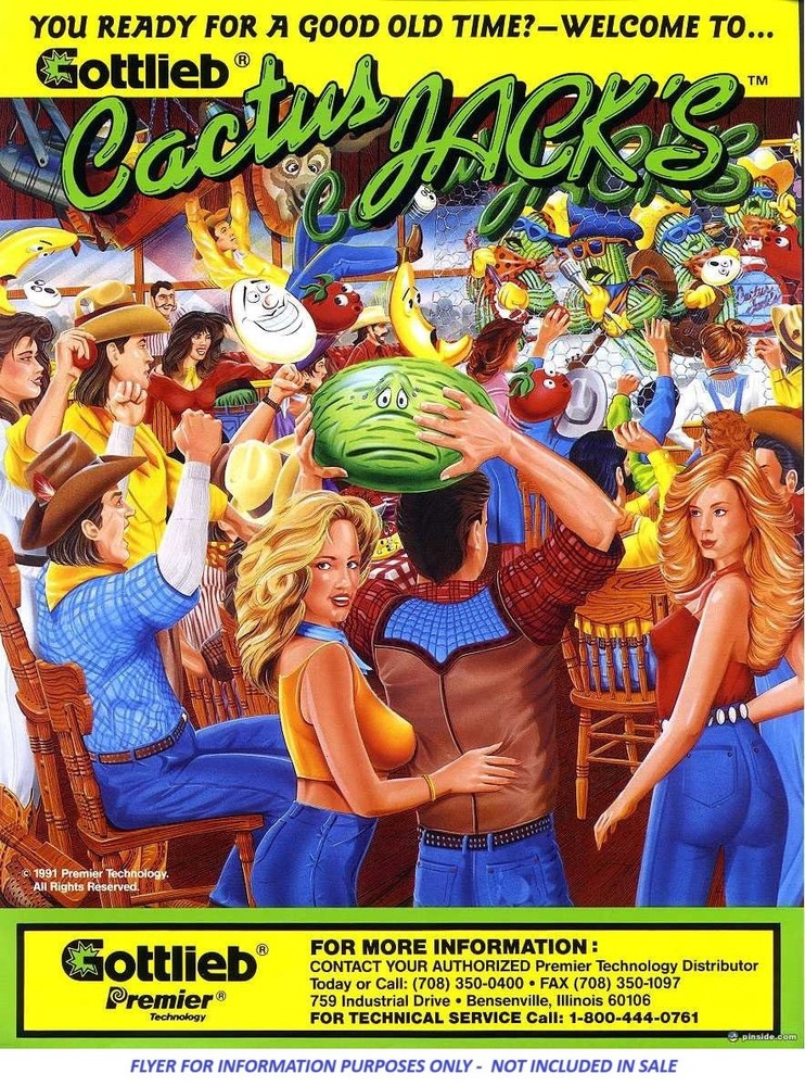 CACTUS JACK PINBALL MACHINE